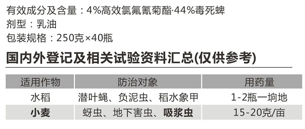 功夫·毒